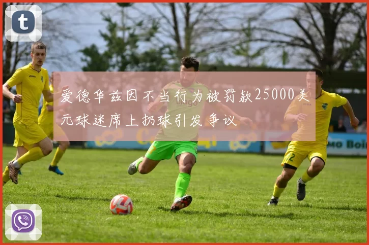爱德华兹因不当行为被罚款25000美元球迷席上扔球引发争议