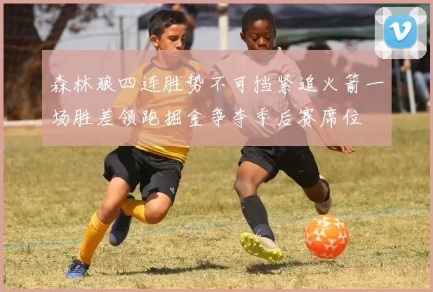 森林狼四连胜势不可挡紧追火箭一场胜差领跑掘金争夺季后赛席位