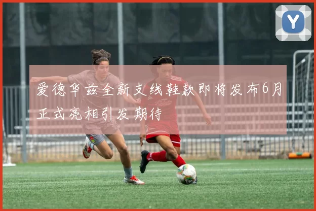 爱德华兹全新支线鞋款即将发布6月正式亮相引发期待